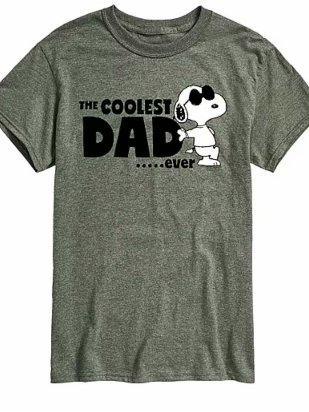 Mens Short Sleeve Peanuts Coolest Dad Graphic T-Shirt NWT